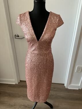 Dress the Population | Dresses | Darleen Vneck Embroidered Mesh Cocktail Dress Dress The Population Size Small